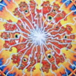 Meet your Posher, Liz